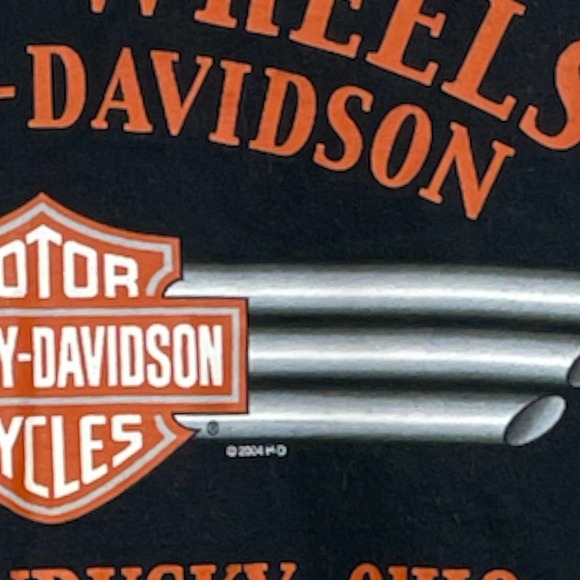 Vintage 2004 Harley-Davidson T-shirt OHIO Size Large - Picture 7 of 10